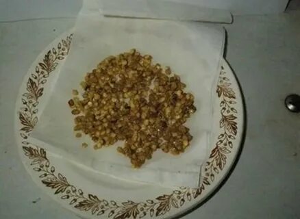 Семена редиса перед посадкой