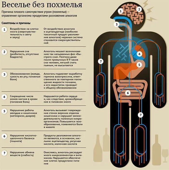 Какую таблетку после пьянки