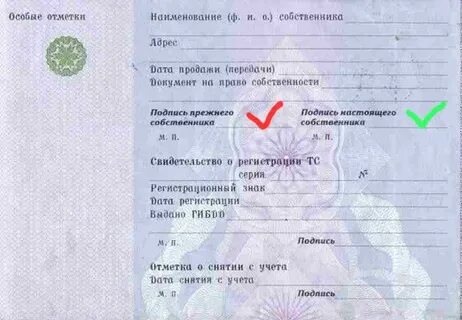 Как узнать владельцев по птс