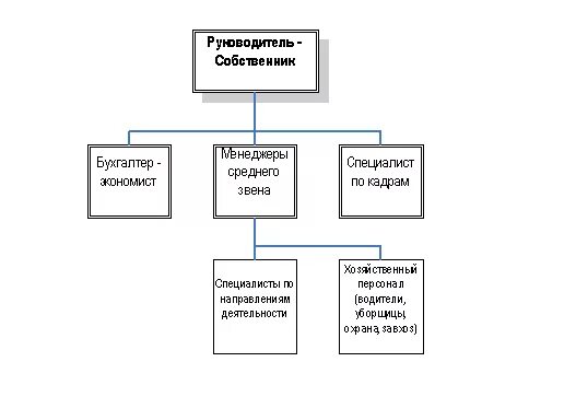 структура предприятие малого бизнеса. структура малого предпринимательства. схема структуры организации малого бизнеса. организационная структура микропредприятия схема. структура предприятие малого бизнеса.