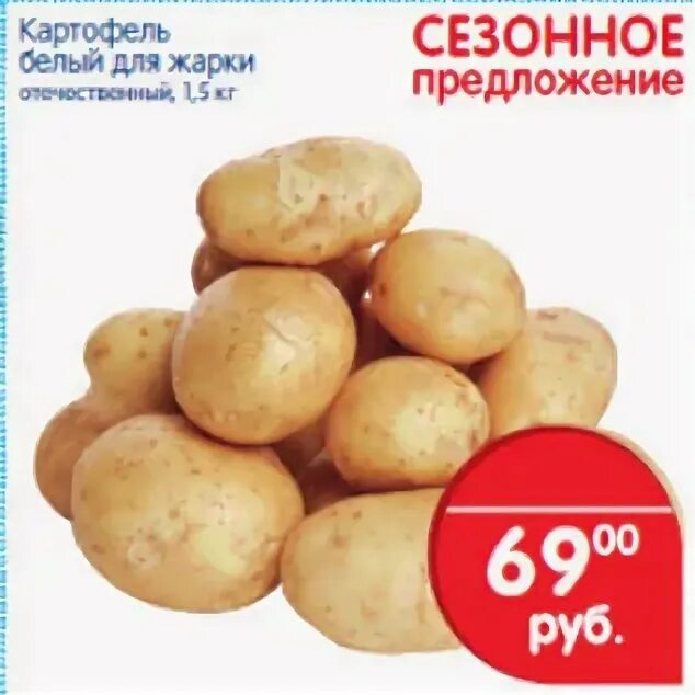 белая картошка для жарки. картошка жареная на сковороде крупными ломтиками. сорт картофеля продолговатый желтый. картофель для жарки цень за 5. белая картошка для жарки.