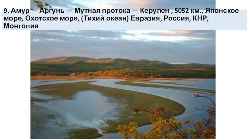 Река Амур впадает в Охотское море. Амур — Аргунь — мутная протока — Керулен. Река Амур с Аргунью. Реки дальнего Востока. Крупные реки дальнего востока россии