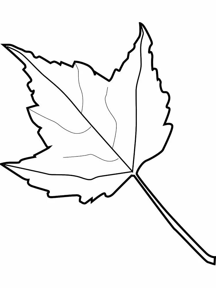 Черно белые картинки листьев. Трафарет листьев. Трафареты осенних листьев. Трафареты "листья". Листья контур.
