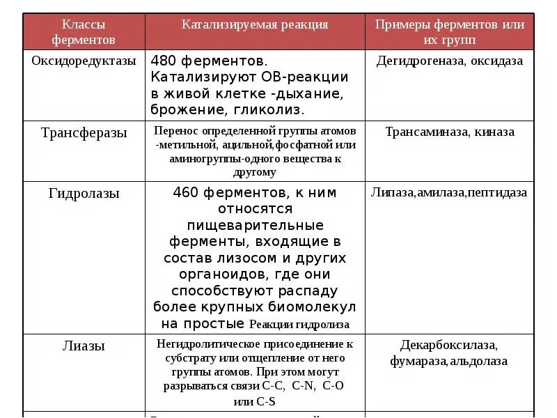 Типы реакций катализируемых ферментами. Классификация ферментов таблица. Структурная классификация ферментов. Классификация ферментов биохимия таблица. Классификация и функции ферментов.