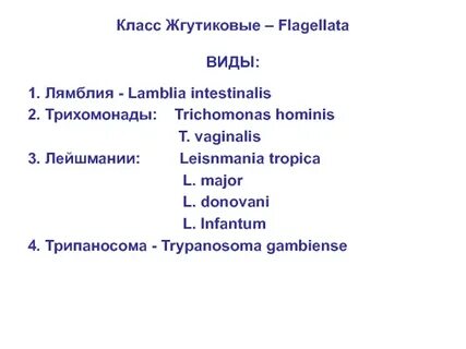 Лисица обыкновенная империя надцарство