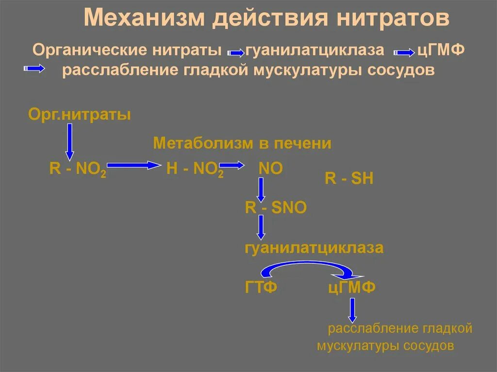 Группы органических нитратов. Механизм действия нитратов. Схема метаболизма нитратов в организме человека. Механизм действия органических нитратов. Схема действия нитратов.