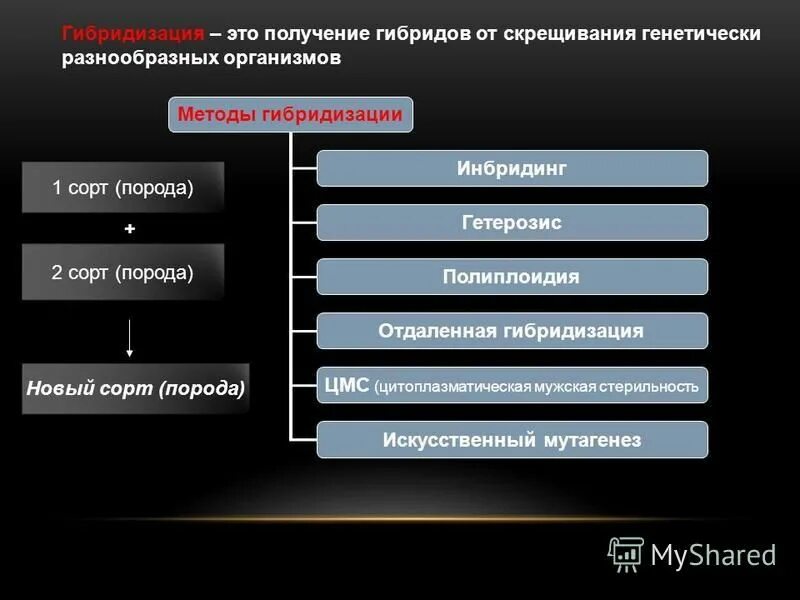 Второй закон менделя закон расщепления. Моногибридное скрещивание законы менделя. Схема опыта моногибридное скрещивание. Виды гибридизации растений. Получение гибридов выбери ответ.