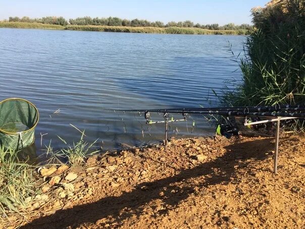 Орлянка Сакский район рыбалка. Озеро Орлянка в Крыму. Озеро Сакское рыбалка. Орлянка крым рыбалка