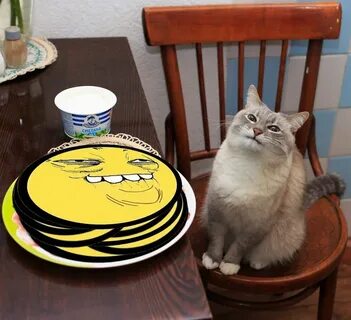 Блин котиков