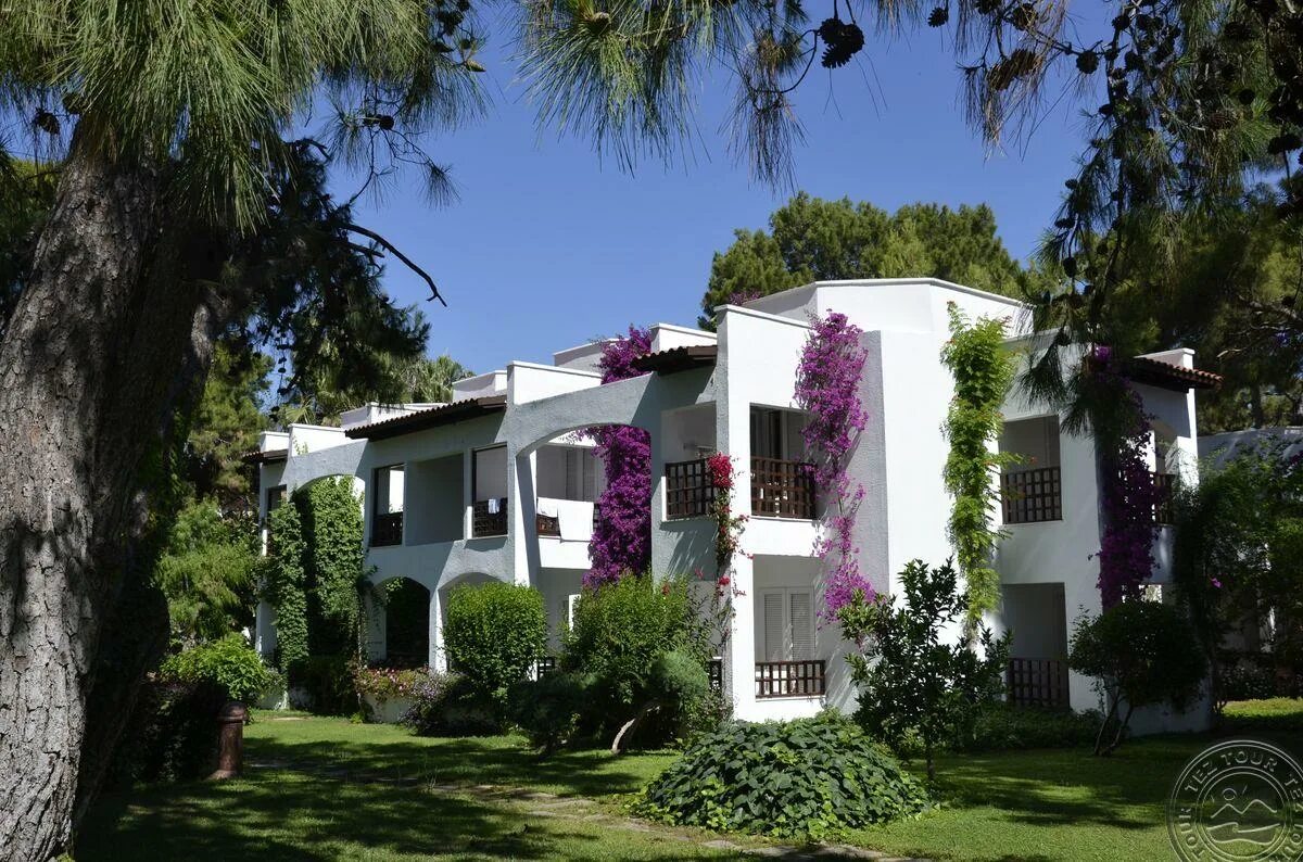 Emelda sun club (ex. Simena sun club 5 турция кемер. симена сан клаб турция. отель симена сан клаб кемер. отель в турции simena sun club hotel.