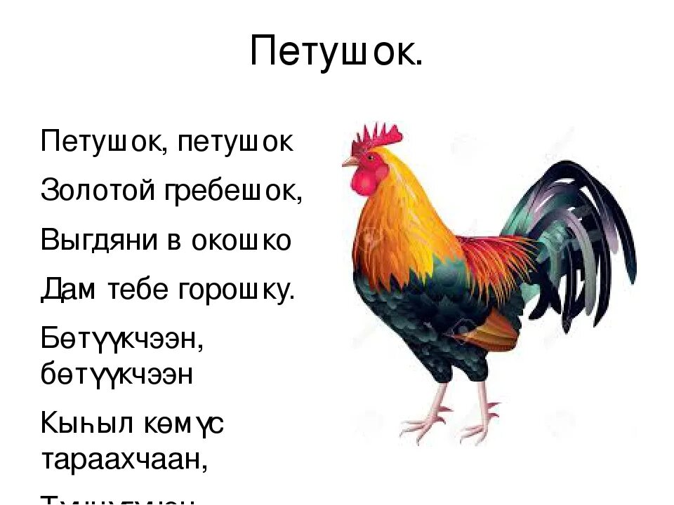 Песенки про петушков. Стихотворение про петуха. Стих про петушка для детей. Потешка петушок. Петушок, петушок.