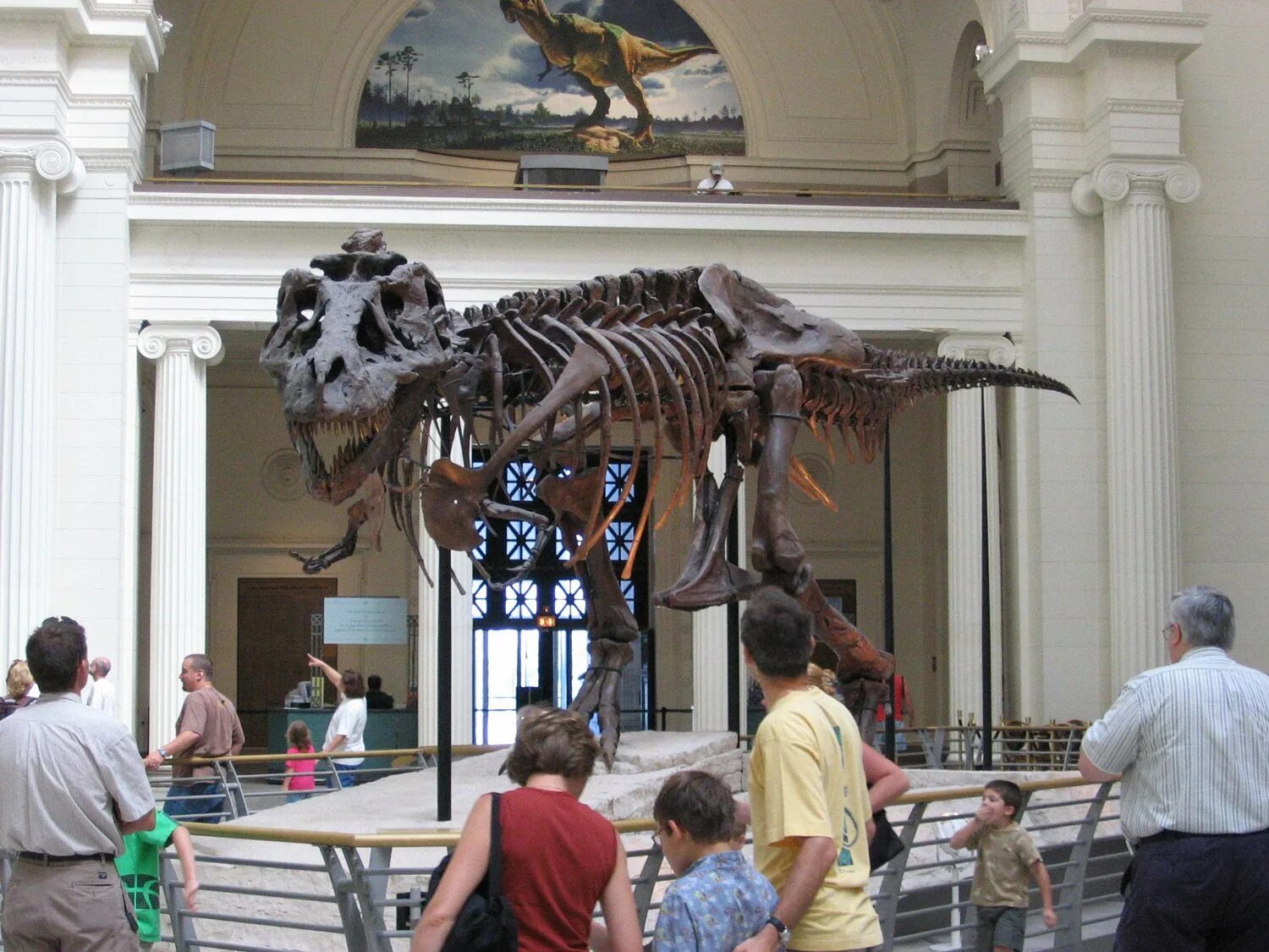 Going to museum. Тираннозавр Сью Чикаго. Самый большой скелет динозавра. Visit a Museum. Chicago Museum Trex.