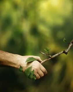 Help nature