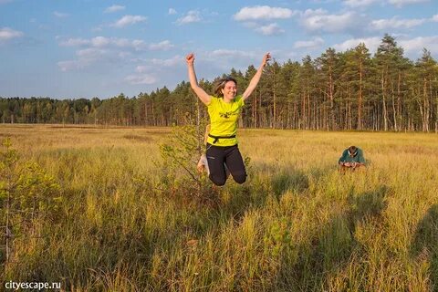 Пройти через болото