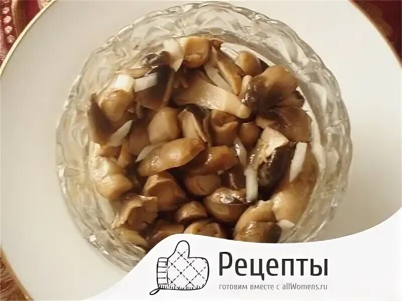 Как солить подберезовики и подосиновики на зиму. Как солить подберезовики и подосиновики на зиму