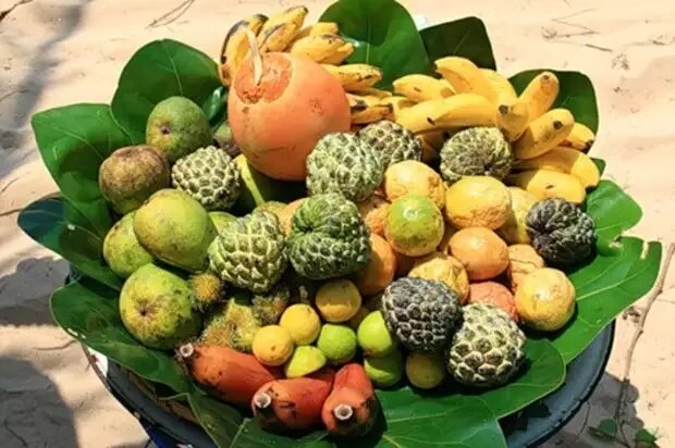 Фрукты шри ланки. Экзотические фрукты Шри Ланки. Тропические фрукты на Занзибаре. Экзотические фрукты из Шри Ланки.