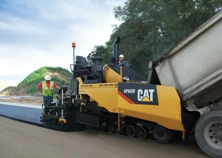 Cat grade