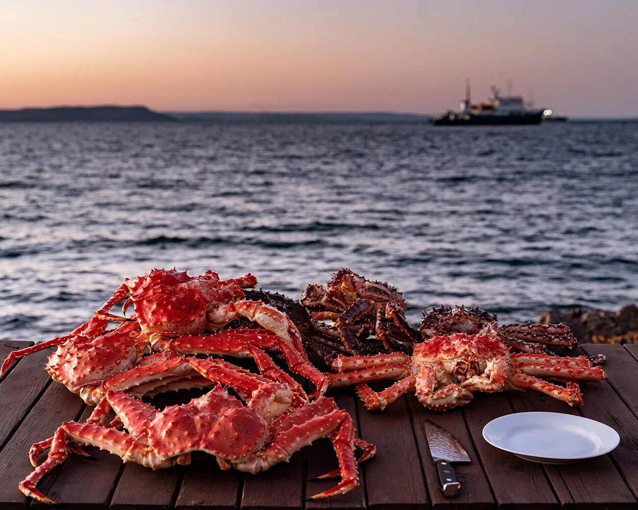 Морепродукты дальнего востока. Морепродукты дальнего востока. Национальная кухня манси. Питание дальнего востока. Морепродукты.