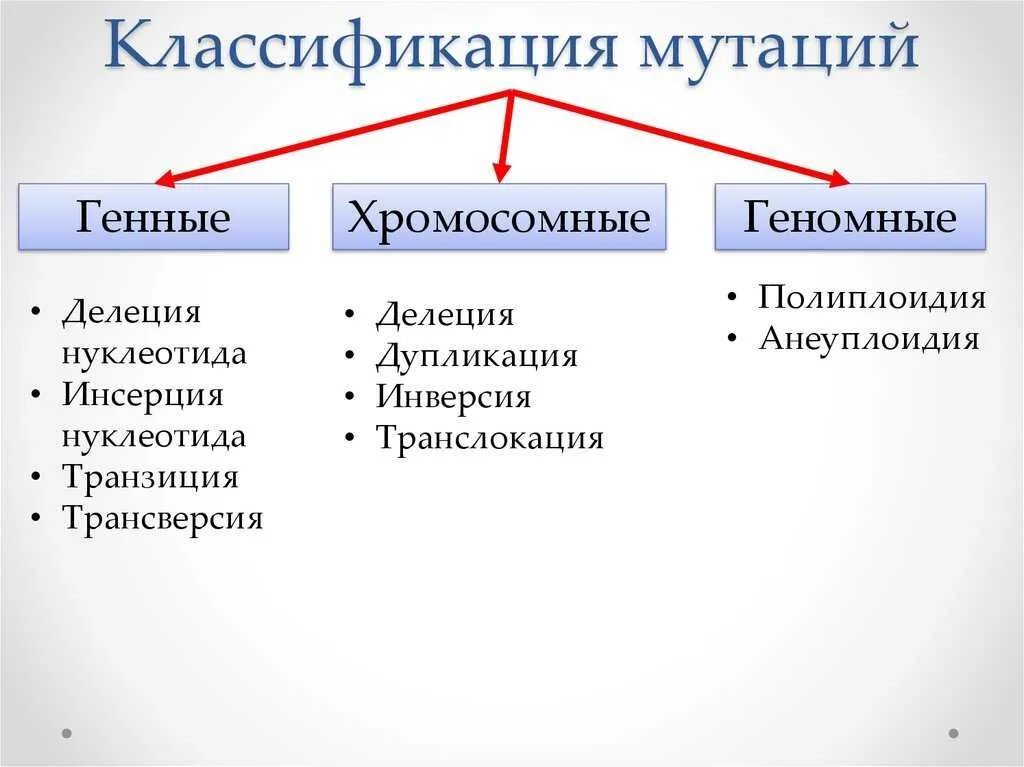 Типы генетической мутации