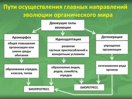 Способы достижения прогресса