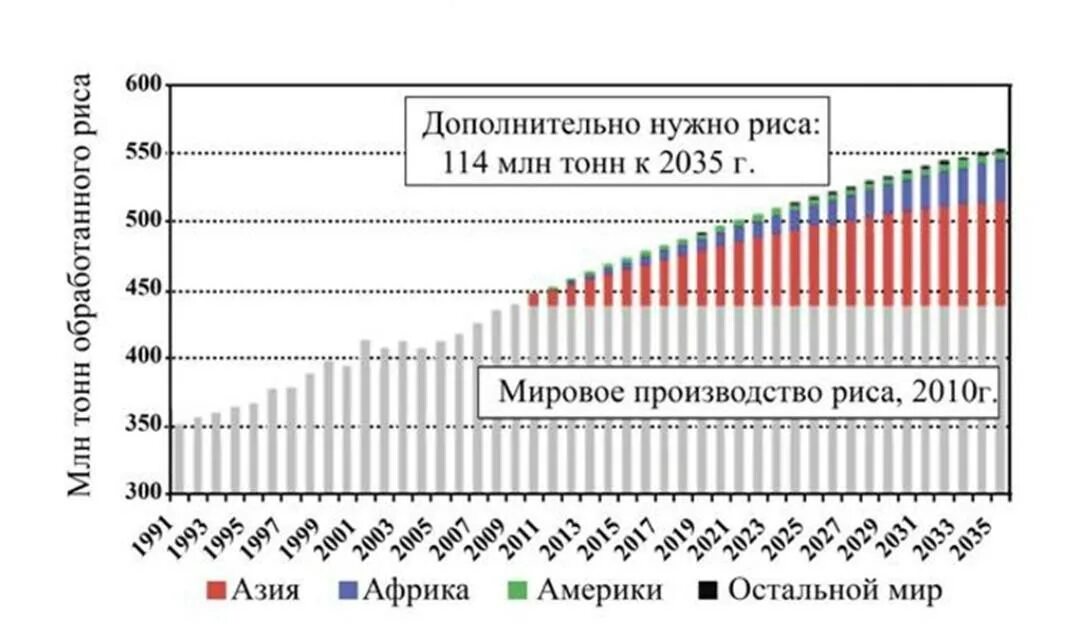 Мировое производство риса. Мировой производить риса. Уровень мирового производства нанометров. Производство риса в мире. Мировой уровень производства