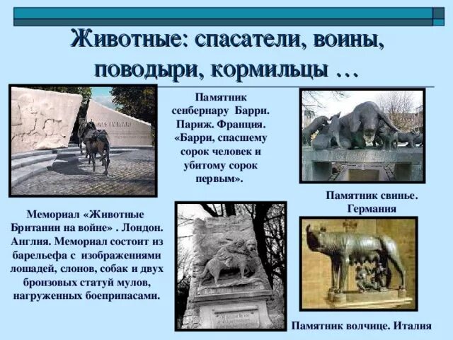 Спас животное рассказ. Памятники животным на войне. памятник животным погибшим на войне. памятник животным на войне в лондоне. памятник животным спасателям.