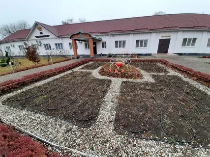 Погода найдорф