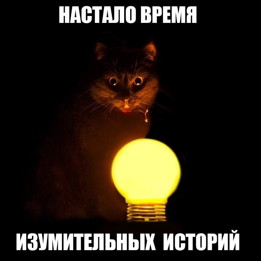 Настало время. Вечер удивительных историй. Настало время удивительных историй кот. Кот время офигительных историй. Кот и лампочка.