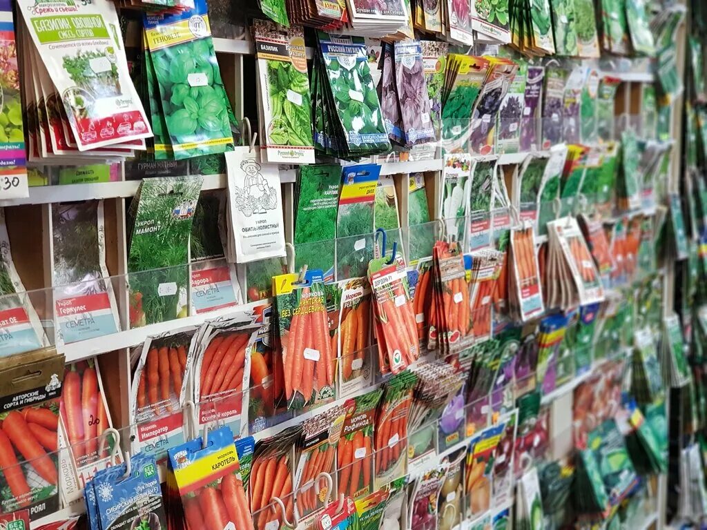 зеленый садовод. зеленый дом пенза. зеленый брючный костюм женский. костюм айли. платье садовод болотного цвета.