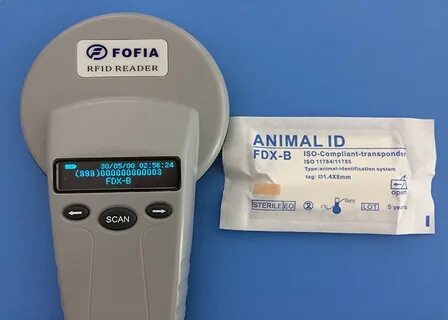 Iso id