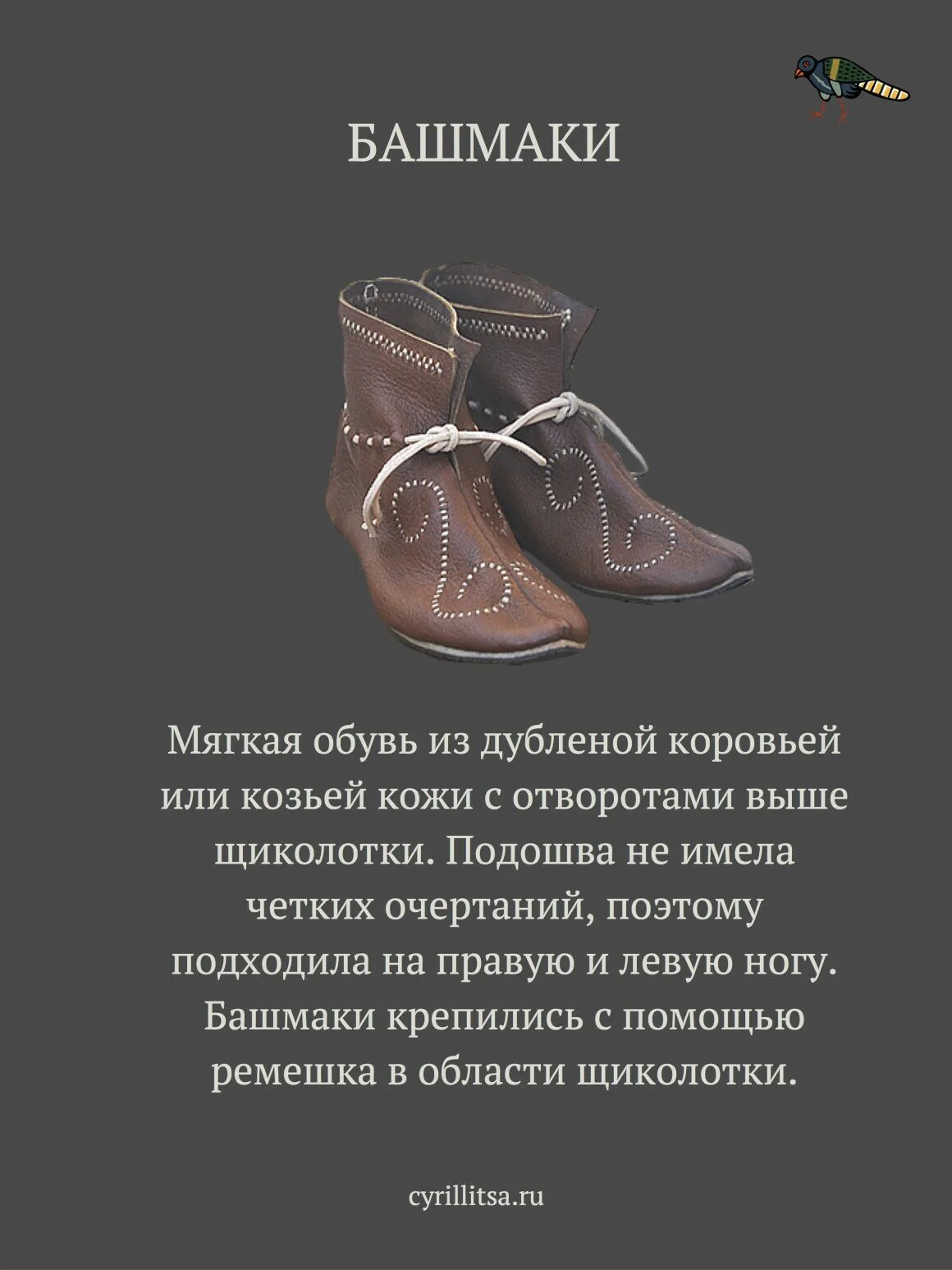 Сапоги пословицы. Цитаты про обувь. Высказывания про обувь. Интересные факты об обуви. Фразы про обувь.