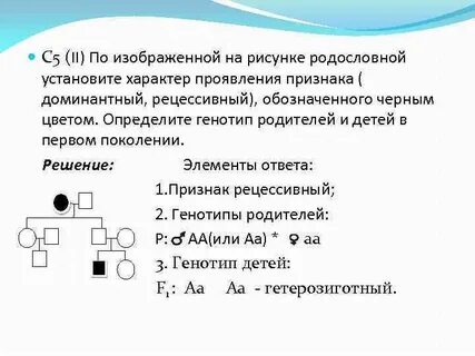 Доминантные признаки проявляются в первом поколении