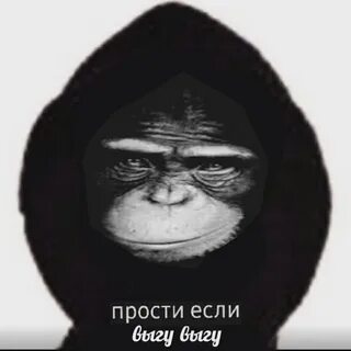 Выгу выгу выгу