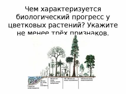 Чем характеризуются биологические