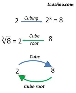 Define root