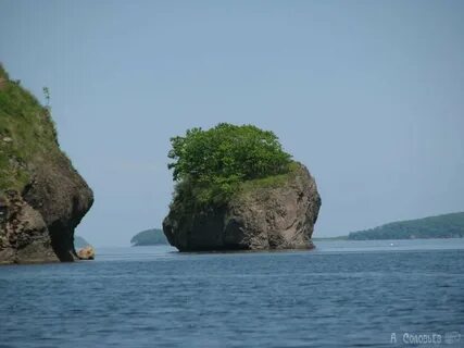 Славянка хасанский приморский край