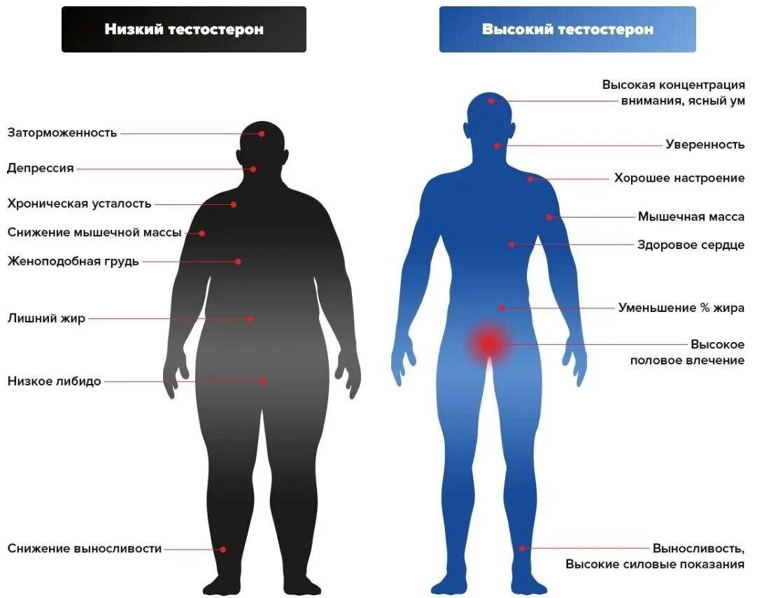 Повышение тестостерона у мужчин. Тестостерон. Повышение уровня тестостерона. Повышенным уровнем тестостерона. Низкий тестостерон.