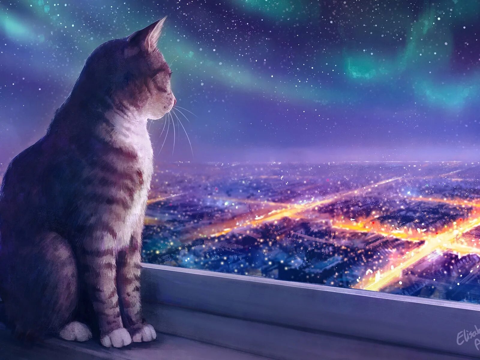 Кошки арты. Звездное небо фон. Космический кот. Кошка и звездное небо. Starry cat.