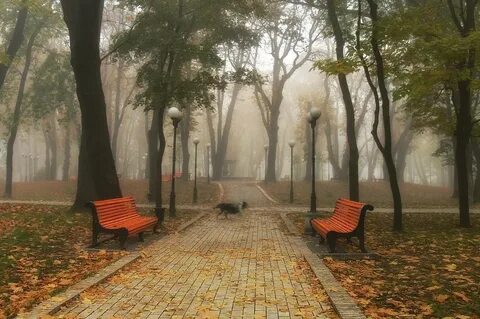 Опустевшая аллея тип связи