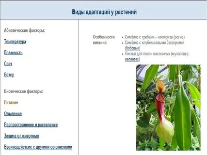 Таблица адаптации 11 класс