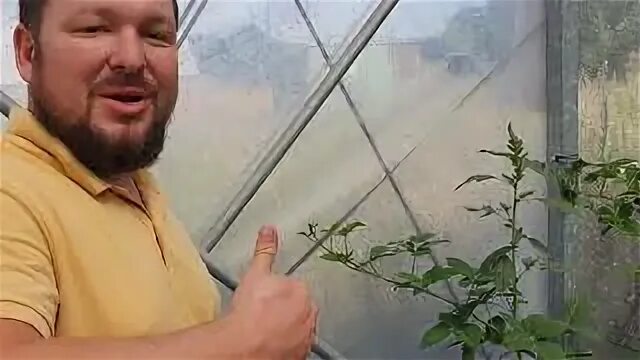 Теплицы спас
