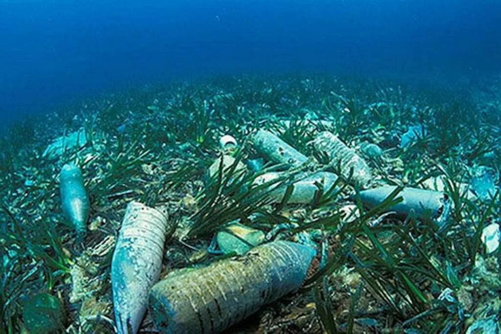 Сохранение морских ресурсов