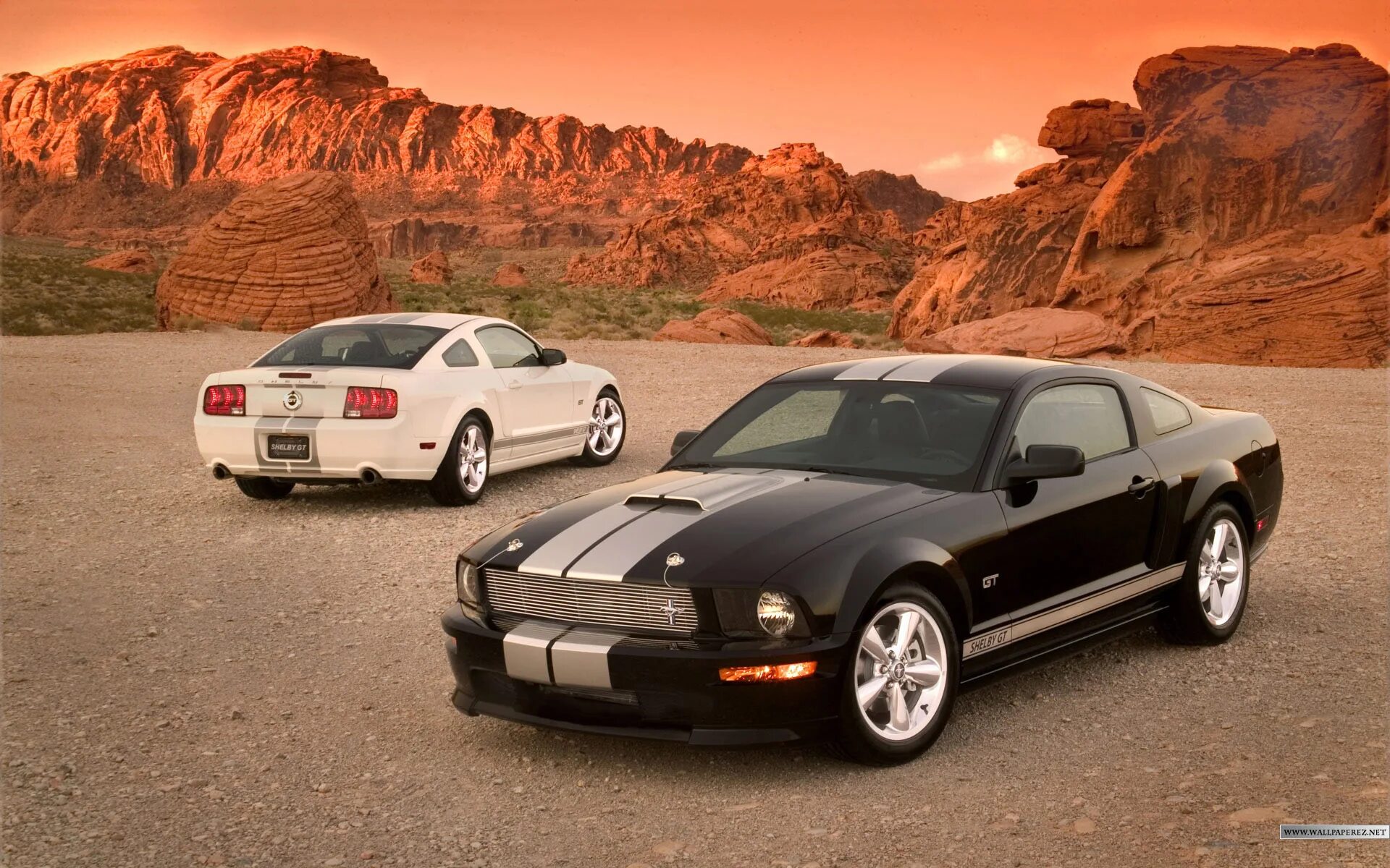Машина Форд Мустанг. Форд Мустанг 2010. Ford Mustang gt. Ford Mustang Shelby 1999. Мустанг на русском языке
