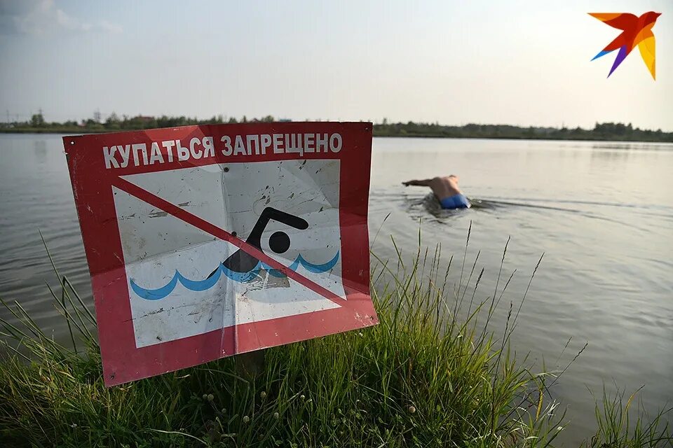 Купаться запрещено картинки. Купаться запрещено. Запрещено купаться в водоемах. Купание запрещено табличка. Знаки запрещающие купание в водоемах.