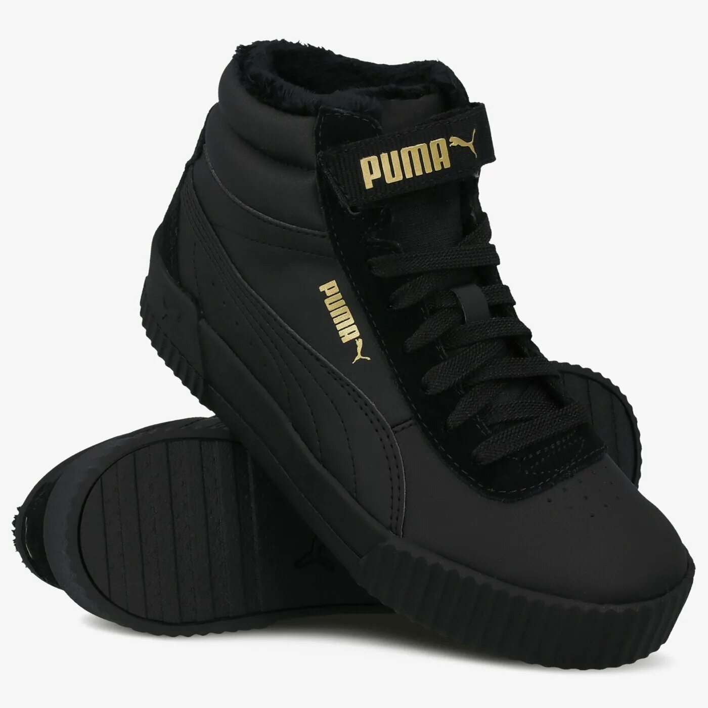 Puma carina mid