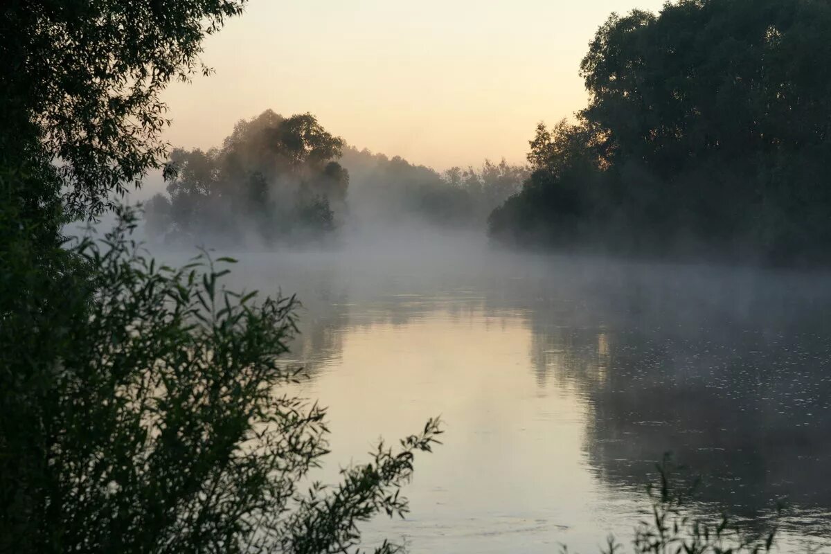 Песня над рекой туман дым. Туман речка Кострома. Туман над рекой в Ямаровке. Туман над рекой. Туман на реке.