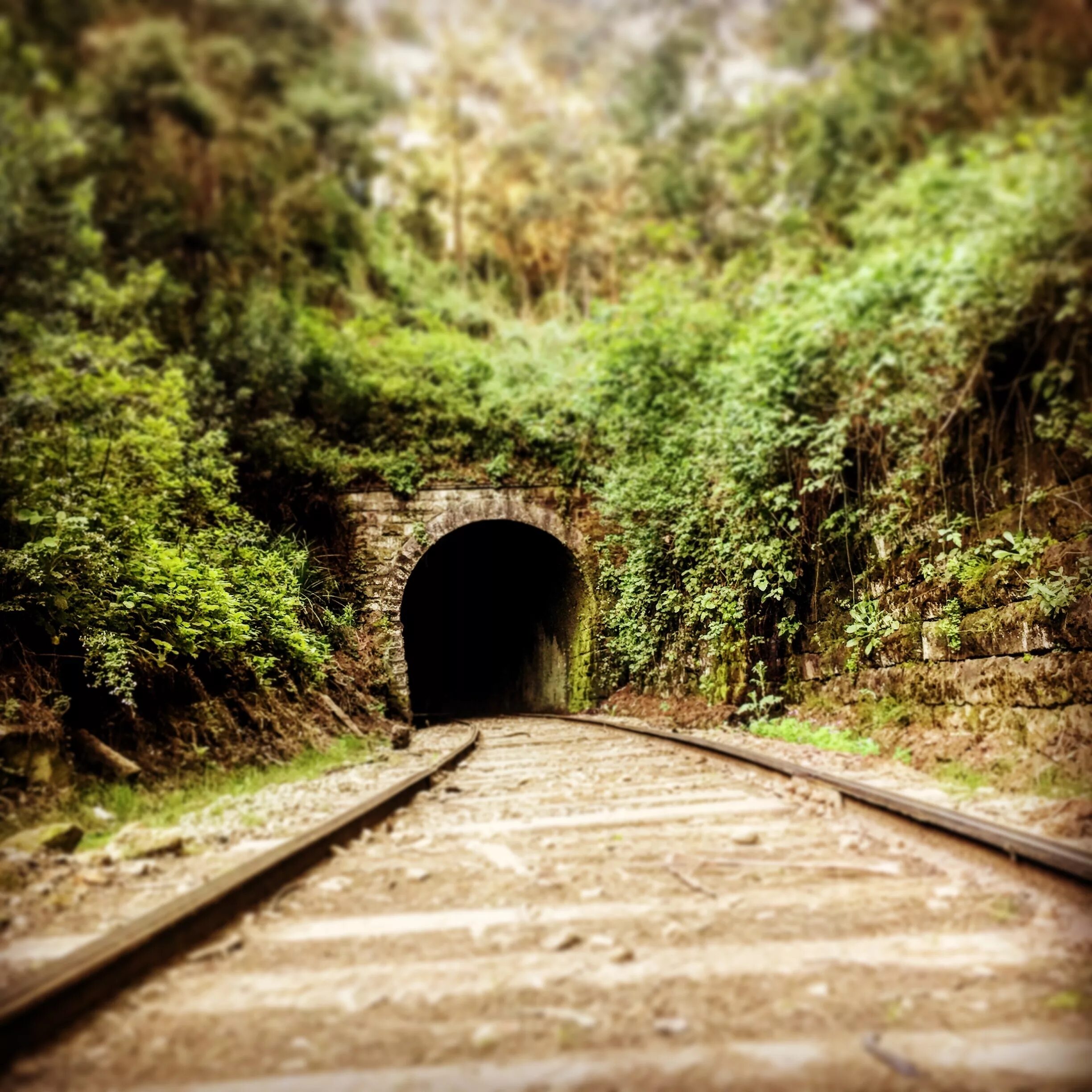 Db path