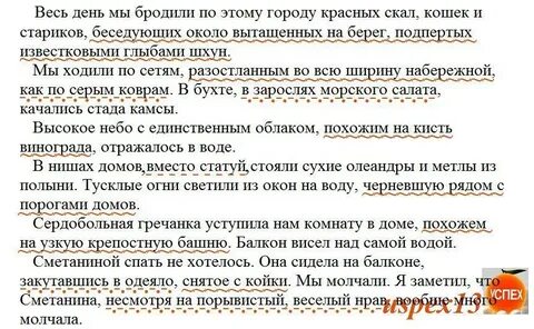 Перед глазами ехавших расстилалась