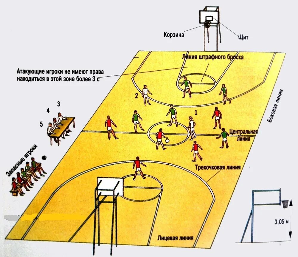 Сколько игроков входит в команду баскетбола. Схема баскетбольной площадки с игроками. Расстановка игроков на баскетбольной площадке. Баскетбол расстановка игроков на площадке схема. Баскетбол поле схема.