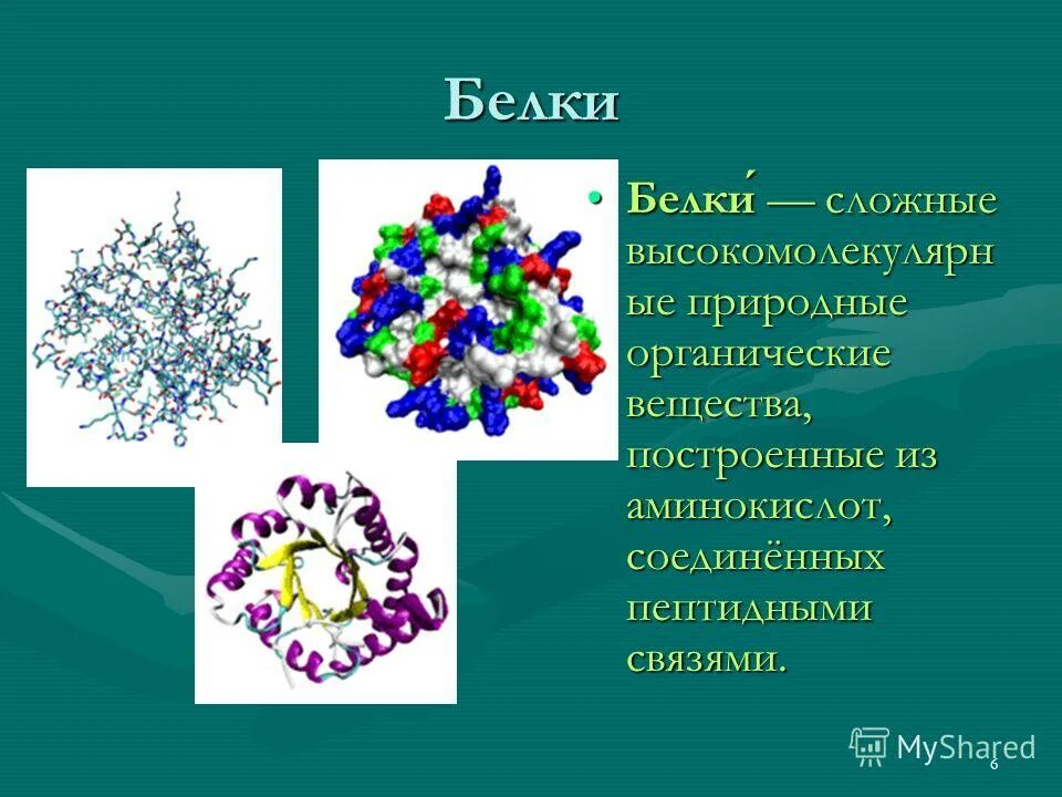 Белки сложные соединения